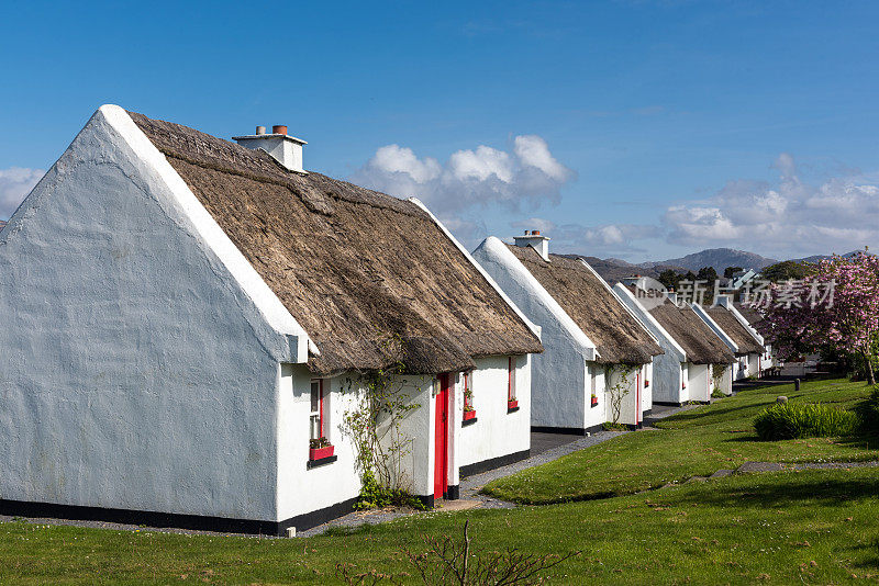 爱尔兰戈尔韦的传统茅草屋顶小屋