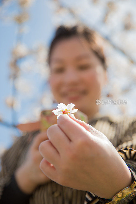 日本女人拍照的花