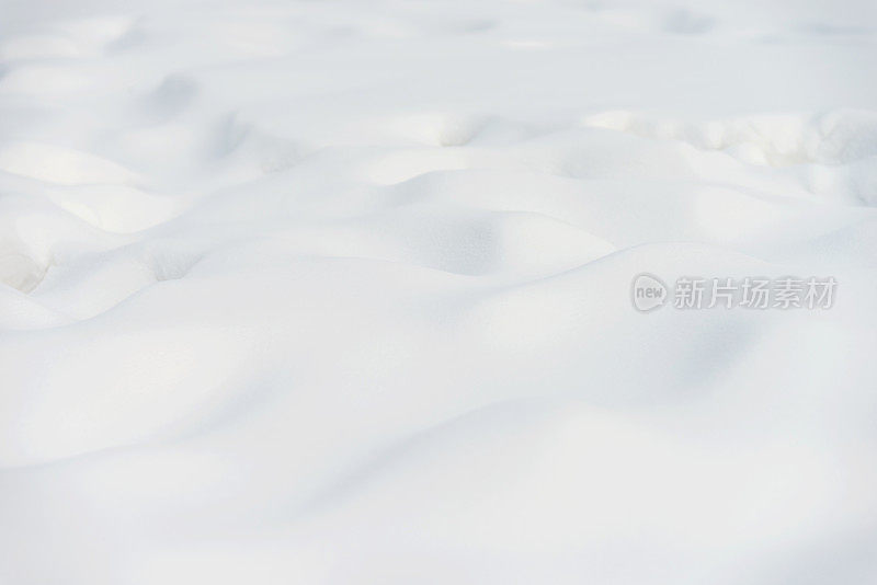 白雪背景的特写