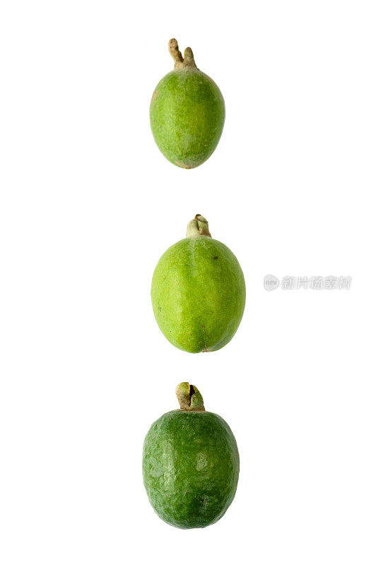 三种青feijoa水果