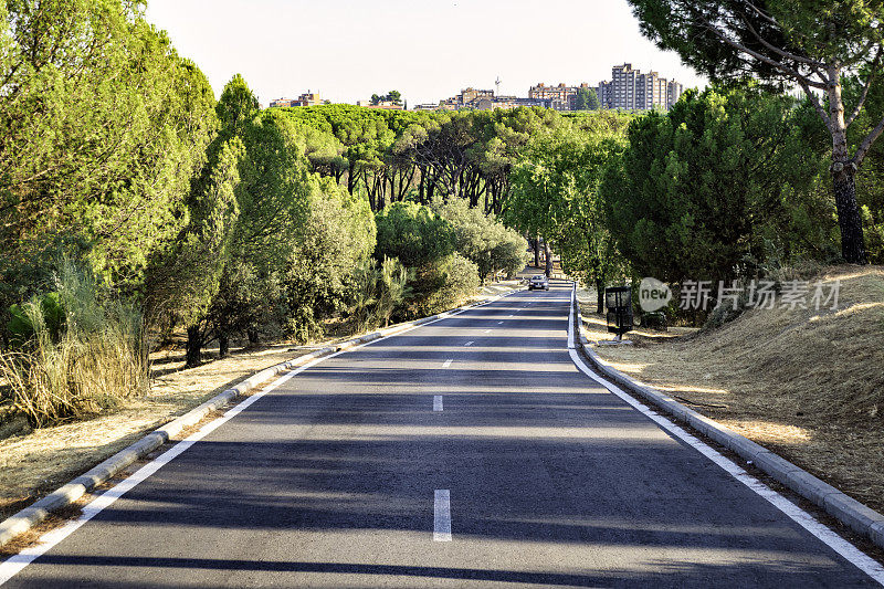 城市道路