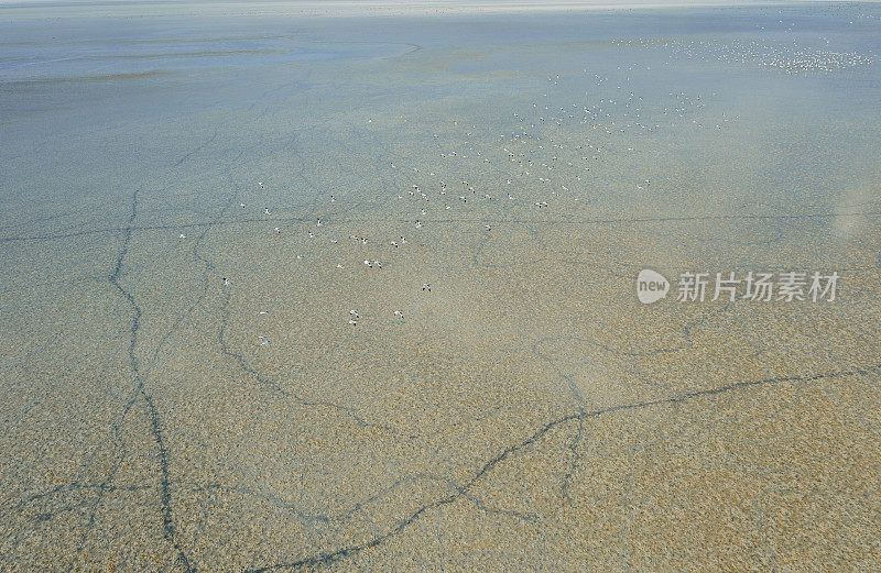 花衣精灵在湖上飞行