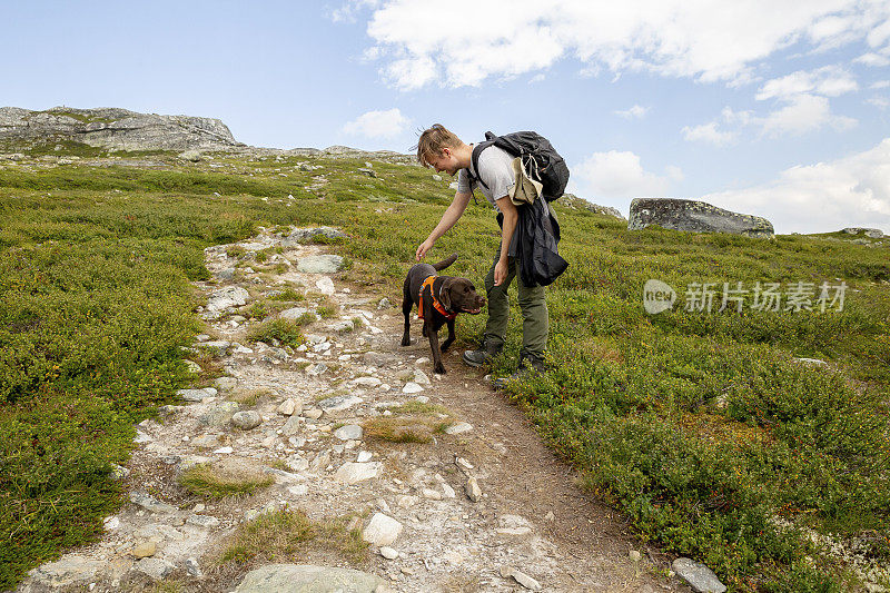 在挪威的大自然中徒步旅行时，一个人在训练他的拉布拉多猎犬