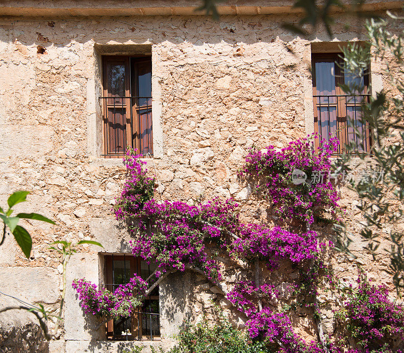 西班牙马略卡岛典型的用砂岩和九重葛装饰的房屋立面