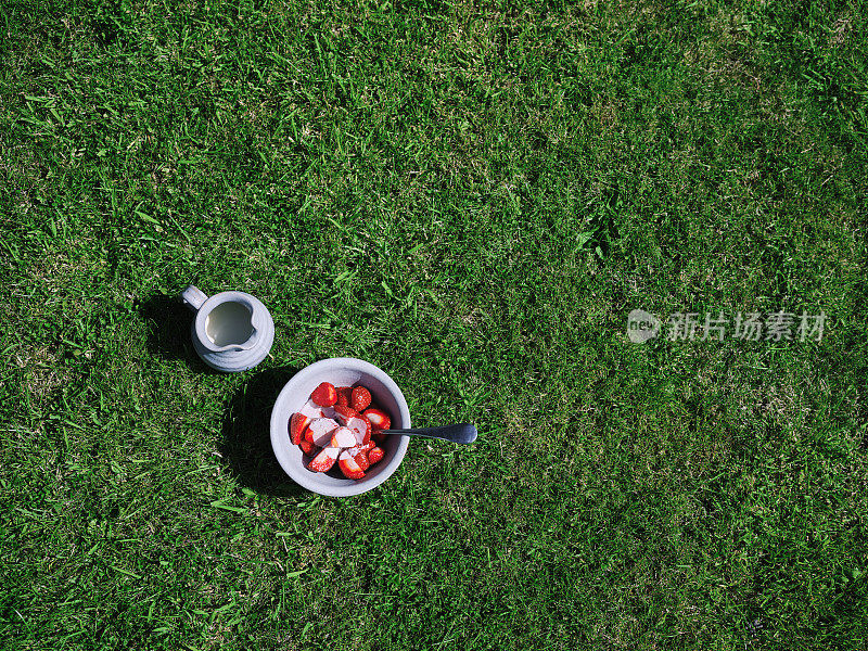 在一个阳光明媚的夏日，一碗草莓和奶油放在花园草坪上。