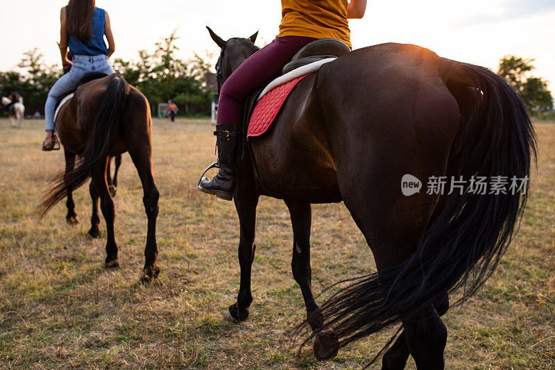 年轻女子骑着两匹马