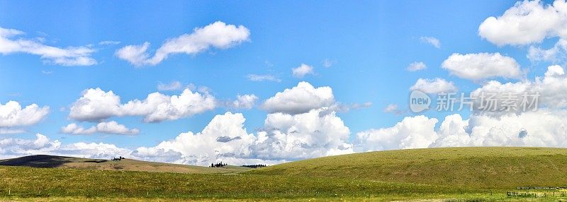 夏季高原草原全景。