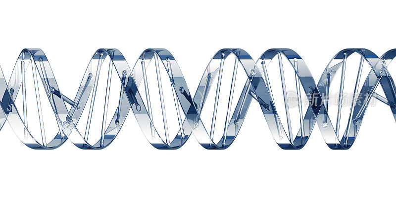 DNA概念广泛分离