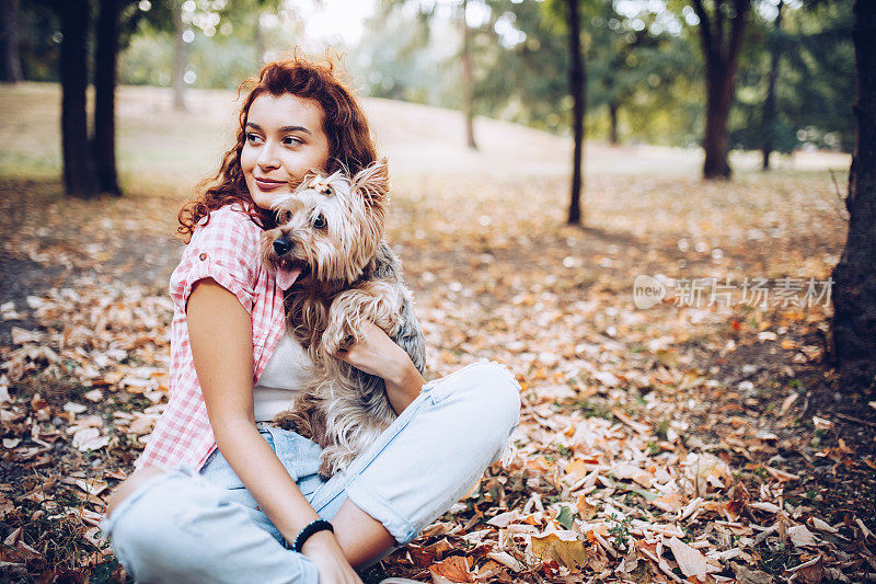 美丽的年轻女孩和她的约克夏梗犬