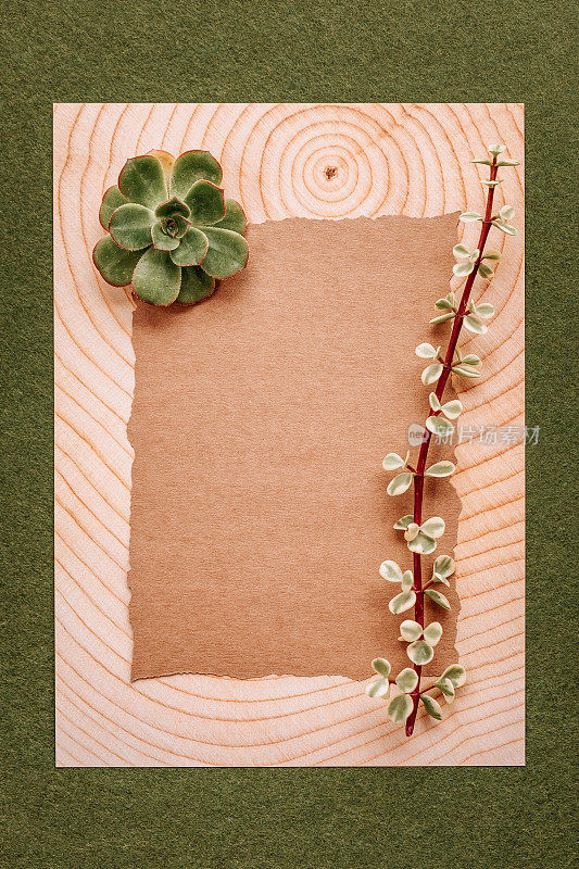 空白的自然纸与多肉植物在花手工纸在波西米亚看
