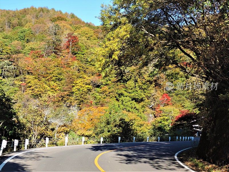 日本。十月里晴朗的一天。山里的路。