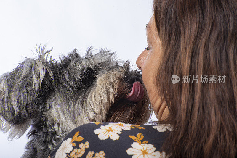 一位女士抱着她的雪纳瑞犬