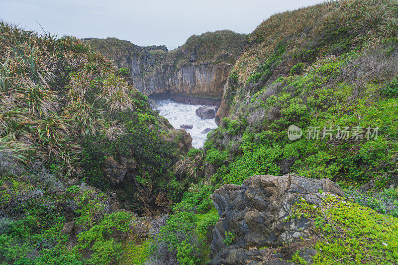 煎饼岩，Punakaiki，西海岸，新西兰