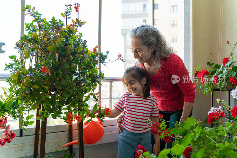 奶奶和孙子一起浇花，很开心