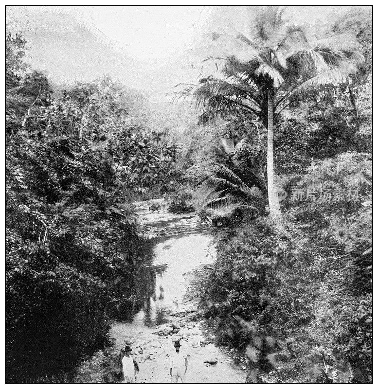 古董黑白照片:库莱布里纳斯河，普拉塔，波多黎各