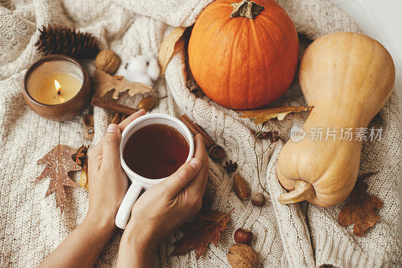 手握温暖的一杯茶在时尚的针织毛衣上有南瓜，秋天的树叶，燃烧的蜡烛。惬意的秋天，慢生活。感恩节快乐。你好,秋季