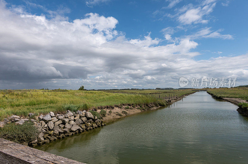 景观与骨干咸水溪在Zwin自然保护区，Knokke-Heist，比利时
