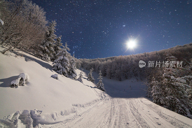 壮丽的星空笼罩着冬日的山景。夜景。月光下美丽的高大冷杉。喀尔巴阡山,乌克兰,欧洲。