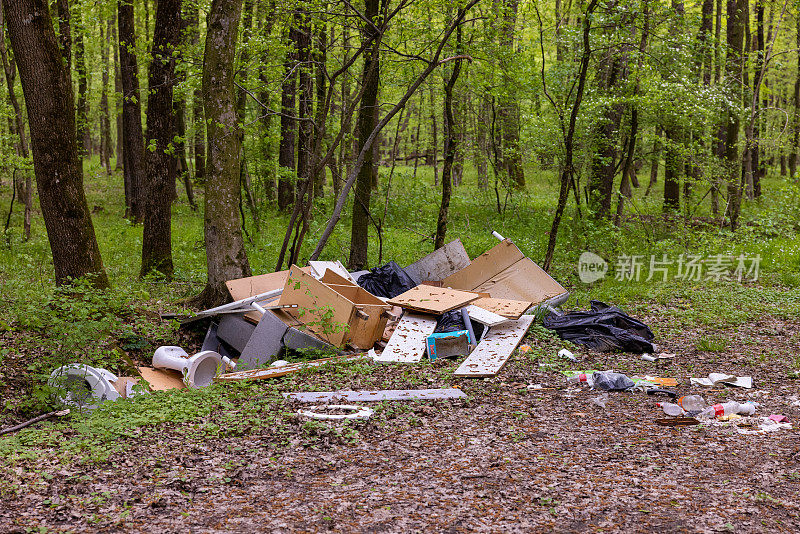 绿色森林里废弃的旧家具