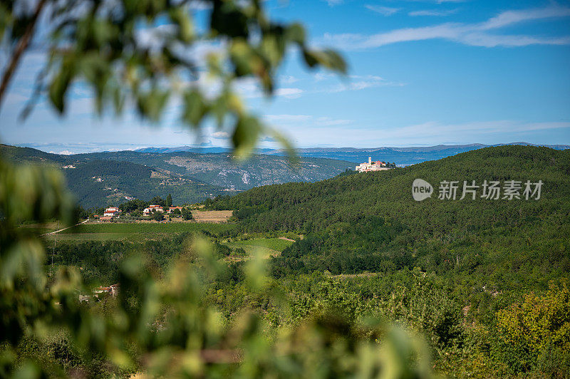 背景是中世纪小镇Motovun，前景是葡萄园和小村庄