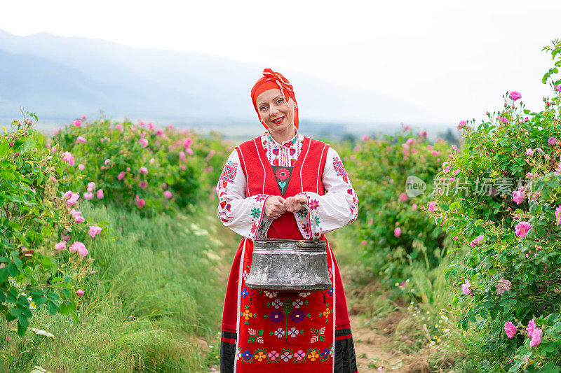 穿着传统保加利亚服装的中年妇女享受着含油玫瑰(大马士革玫瑰)的香味。玫瑰采收、精油生产