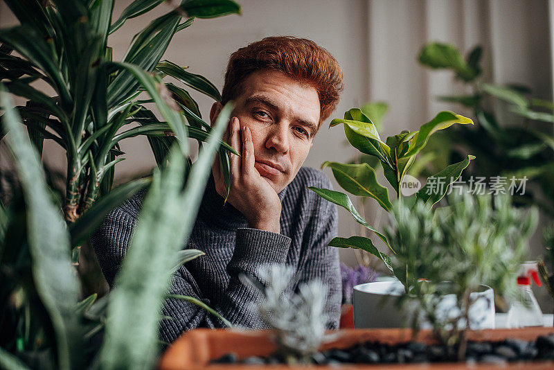 年轻的红发男子在室内植物周围的肖像