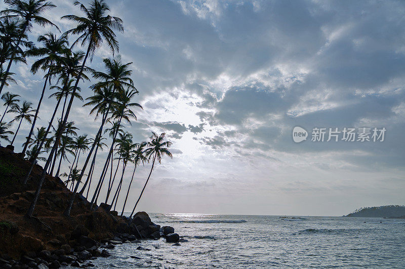斯里兰卡，蓝色的海洋景观——日出岛和棕榈树