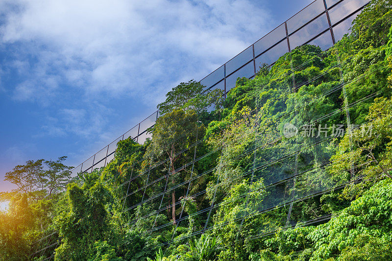 可持续资源-绿色建筑