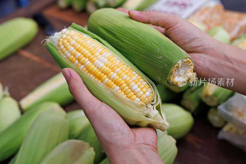 玉米棒上的玉米，手握并挑选玉米