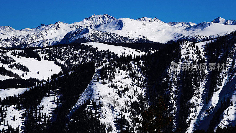 从斯诺马斯滑雪场的顶部看到的白雪皑皑的山峰。美国科罗拉多州的阿斯彭。