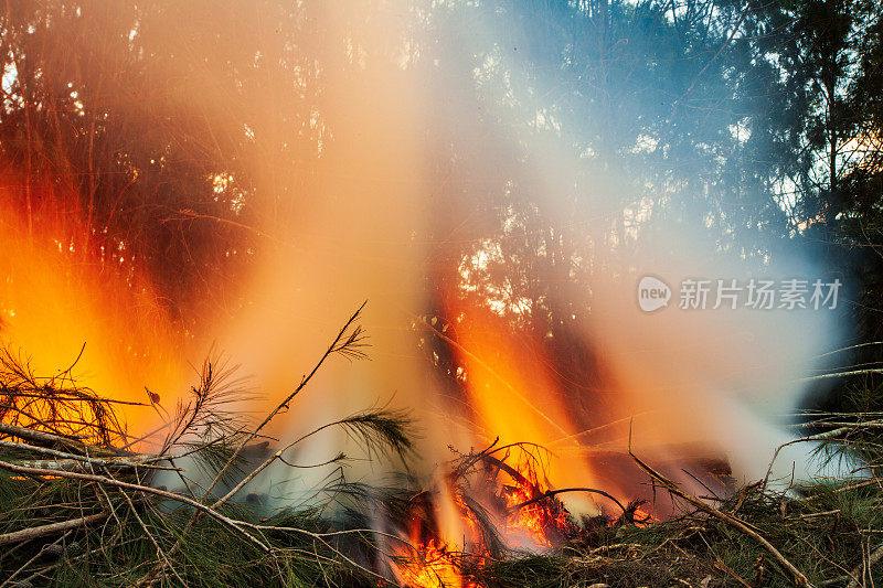 篝火产生浓烟