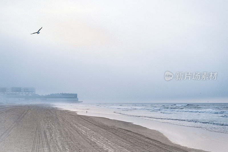 海滩