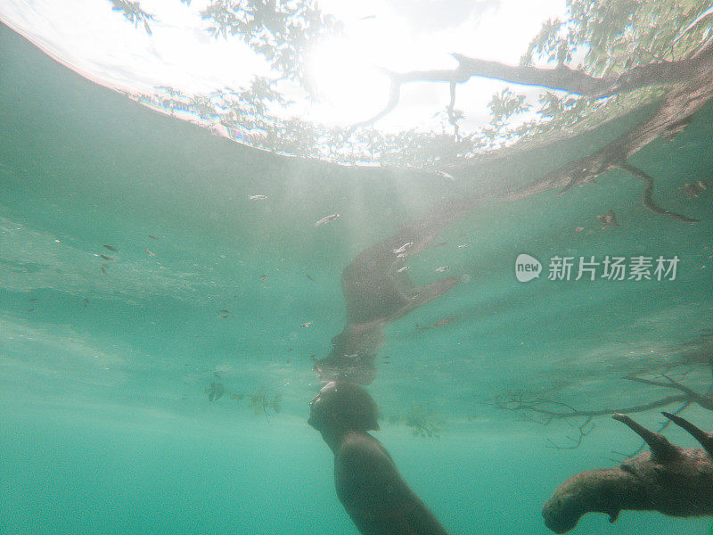 男子潜入热带天然井，水下拍摄
