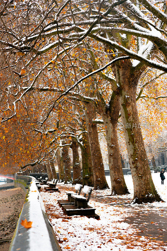 伦敦的冬季宁静:雪公园和秋天的色调