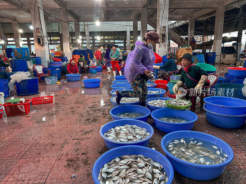 越南桂仁海鲜市场，卖鱼的人向顾客展示鱼