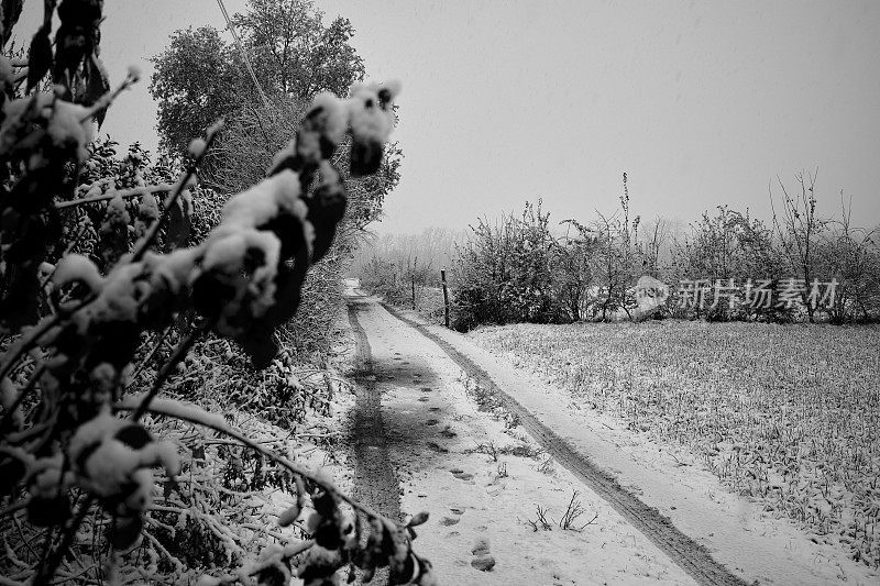 公园在冬天下雪