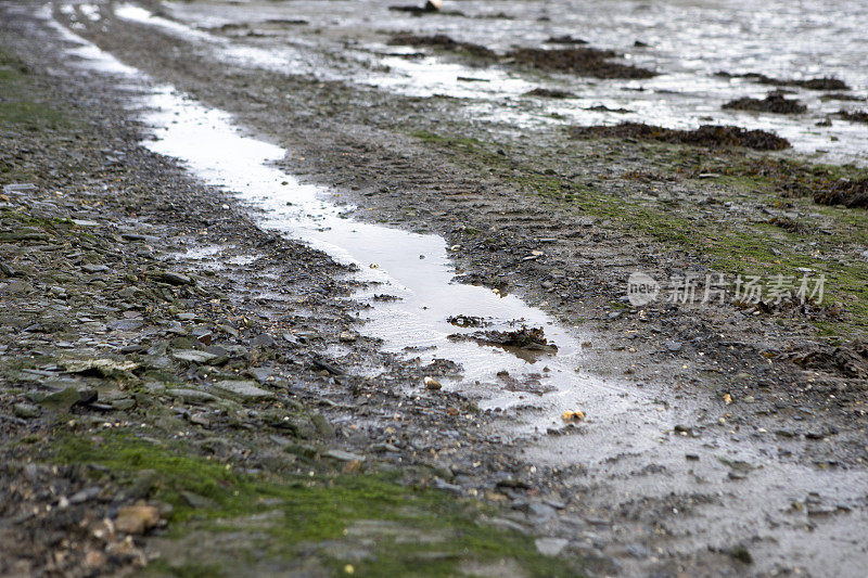 低潮时河口淤泥中的水坑和轮胎痕迹的特写