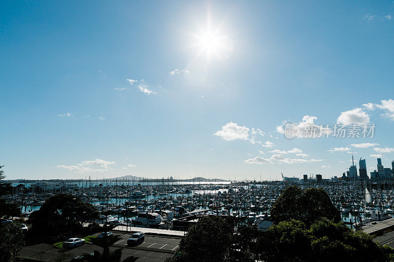 奥克兰海港大桥