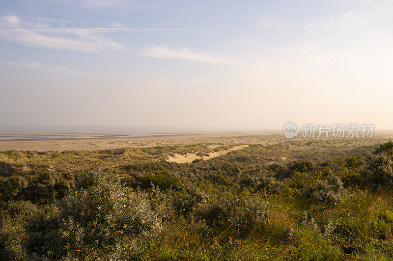 在一个阳光明媚的夏日清晨，沙丘上的薄雾笼罩着日出