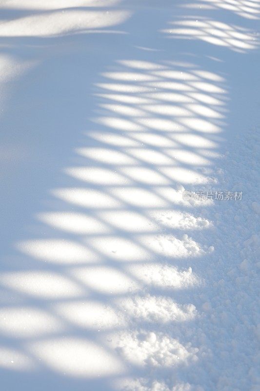 在加拿大的雪上的格子图案