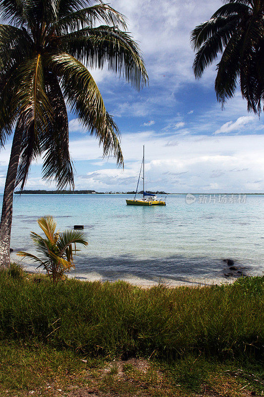 波拉波拉岛海岸。在泻湖上，棕榈树架着帆船。