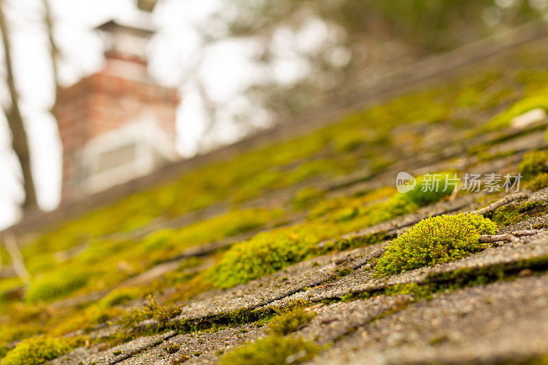屋顶瓦上有苔藓