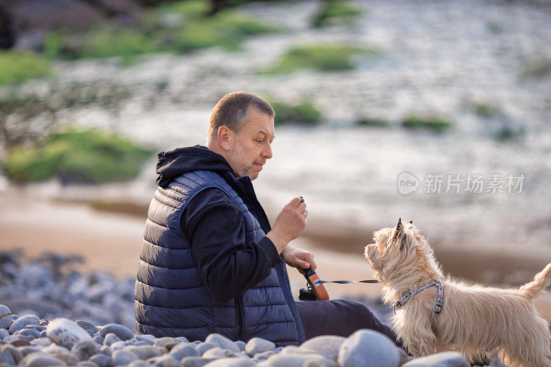 男人带着狗在沙滩上休息