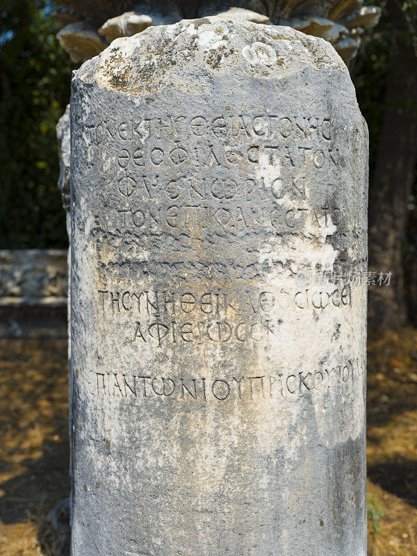 春草古城，aydın。火鸡