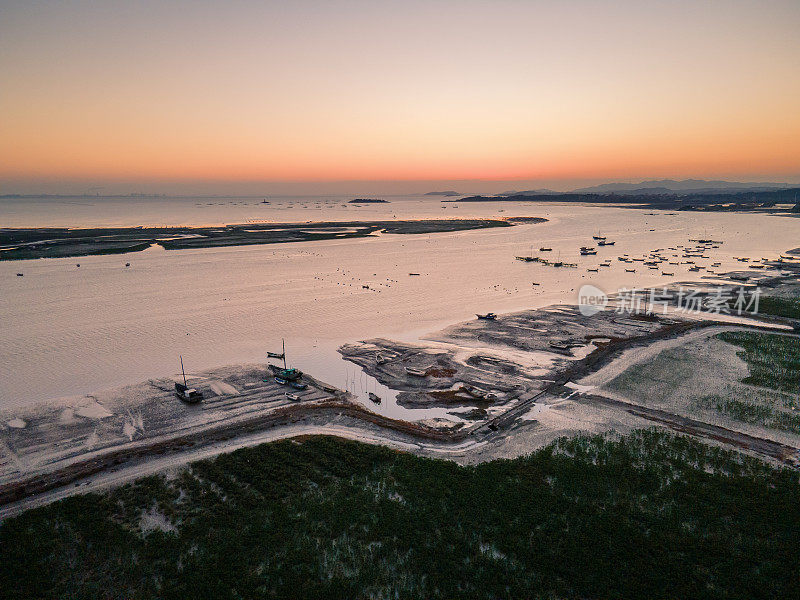 日出时海滩湿地上的红树林