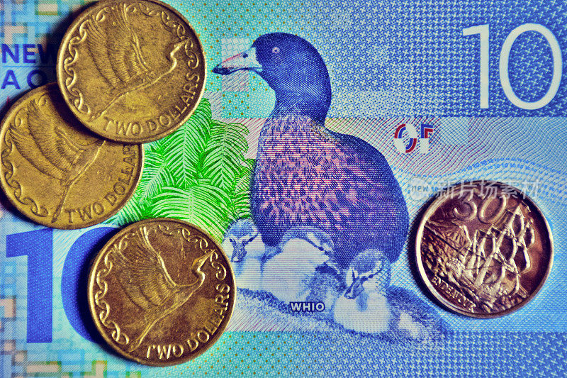 新西兰元纸币上的蓝鸭鸟和硬币