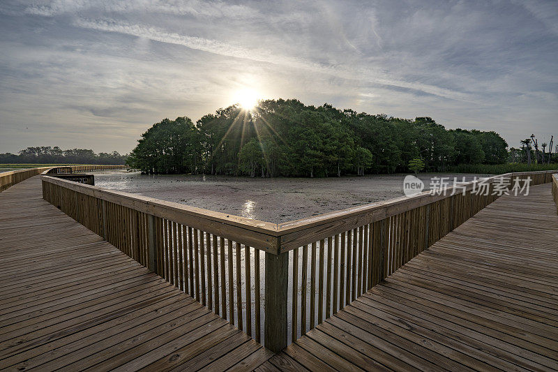 激动人心的奥兰多湿地公园在充满活力的日出在美国佛罗里达州中部