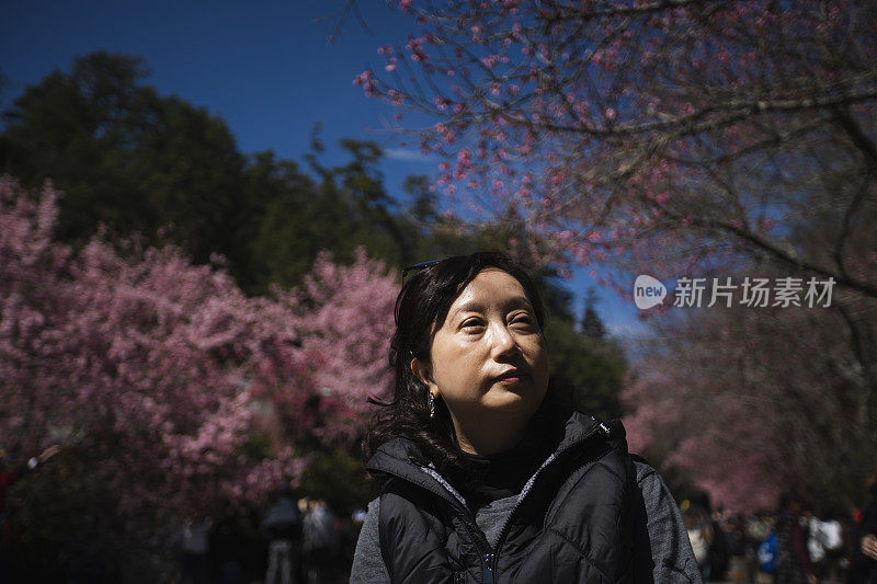 户外的快乐时光，台湾春天的樱花