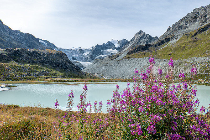 莫伊里湖和冰川，瑞士瓦莱州