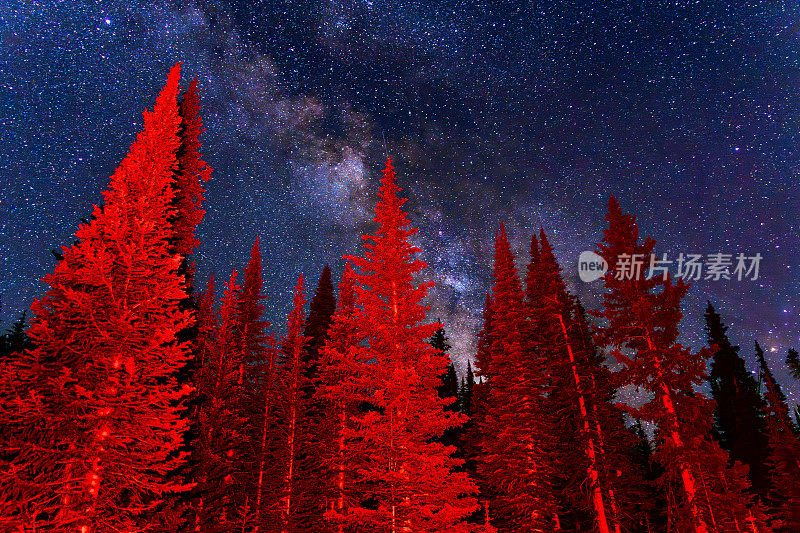 夜晚的银河与黑暗天空中的树木